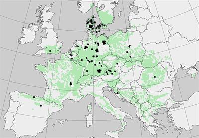 Impact of European Beech Forest Diversification on Soil Organic Carbon and Total Nitrogen Stocks–A Meta-Analysis